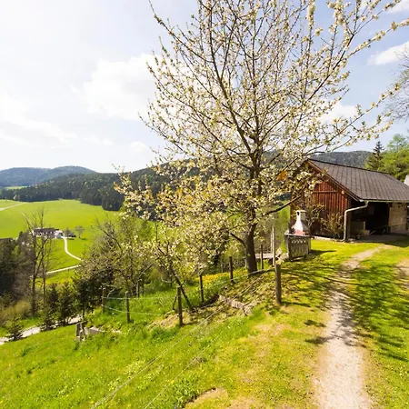 Haus Wildblick Дом отдыха Фладниц-ан-дер-Тайхальм