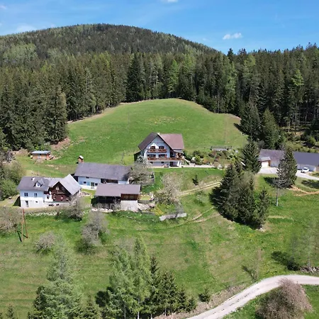 Haus Wildblick Hébergement de vacances Fladnitz an der Teichalm