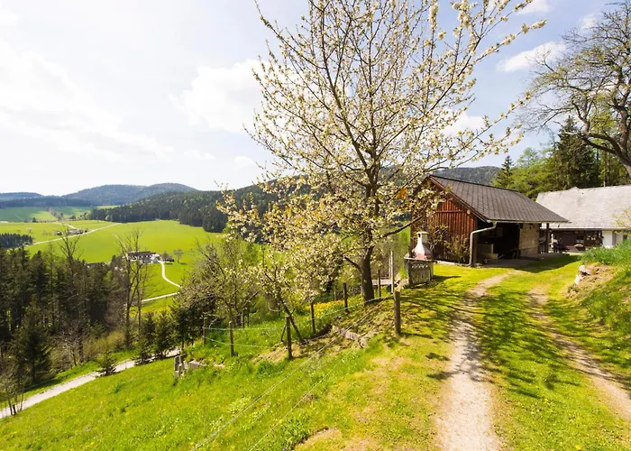 Haus Wildblick Дом отдыха Фладниц-ан-дер-Тайхальм